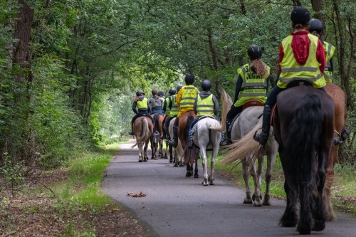 Paardrijden trekking