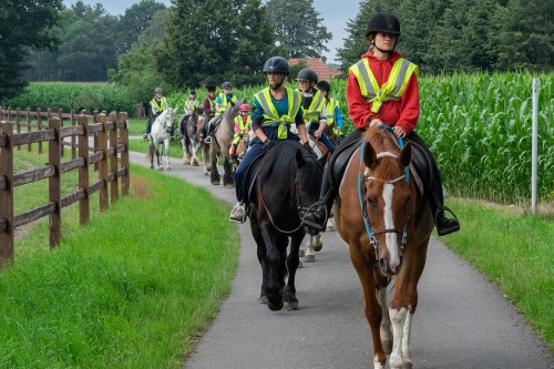 Paardrijden trekking