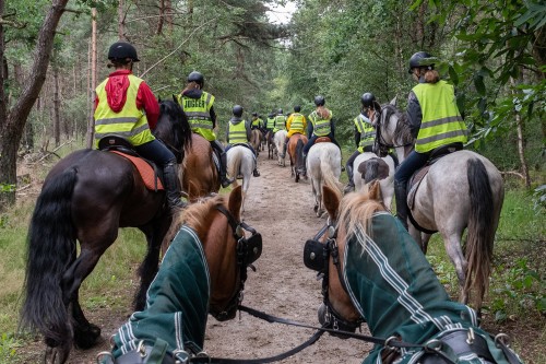 Paardrijden trekking