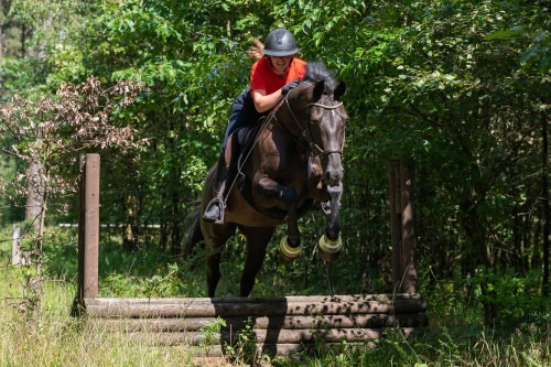 Paardrijden trekking