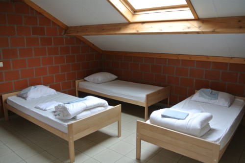 Paardrijden trekking