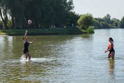 Wingfoil, waterski/wakeboard en multibeachcamp